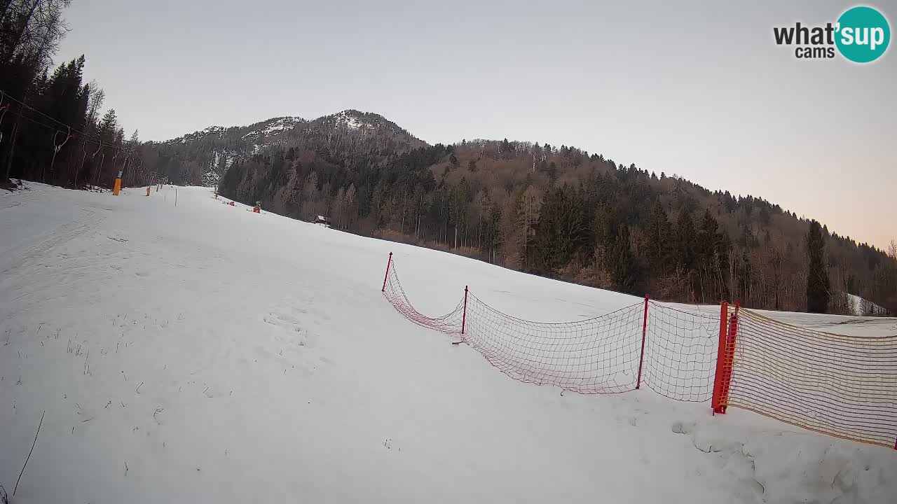 RTC Kranjska Gora | Brsnina