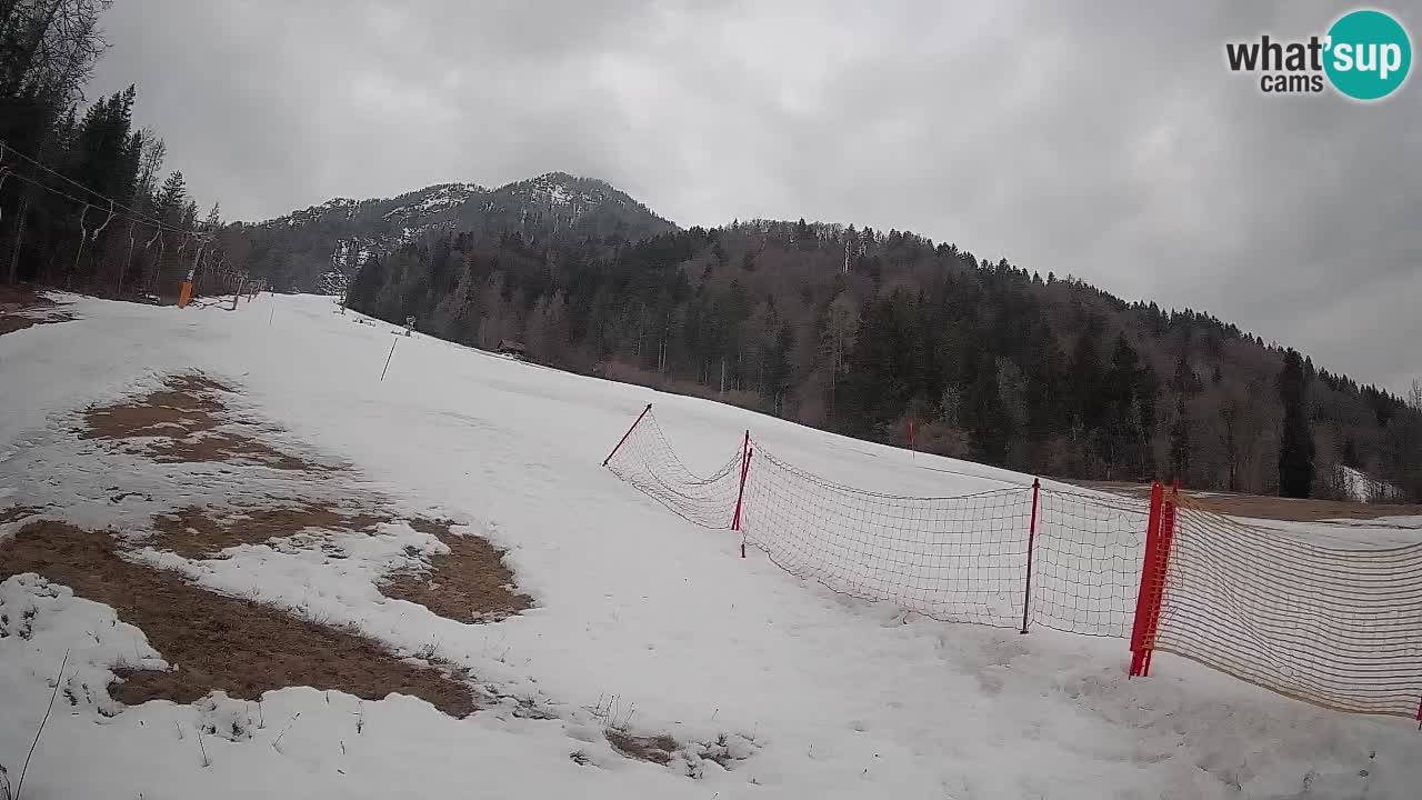 Comprensorio sciistico Kranjska Gora | Brsnina