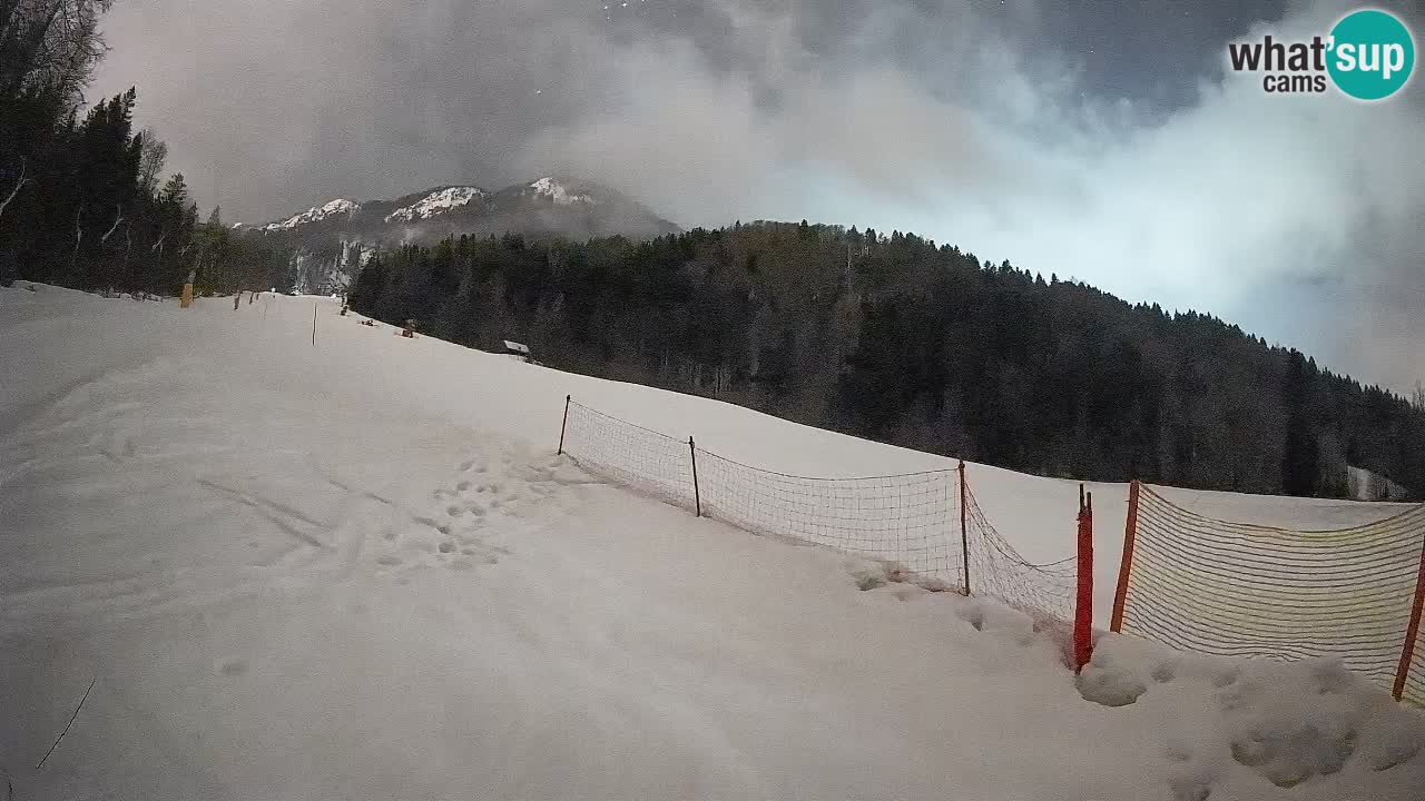 Ski Kranjska Gora | Brsnina