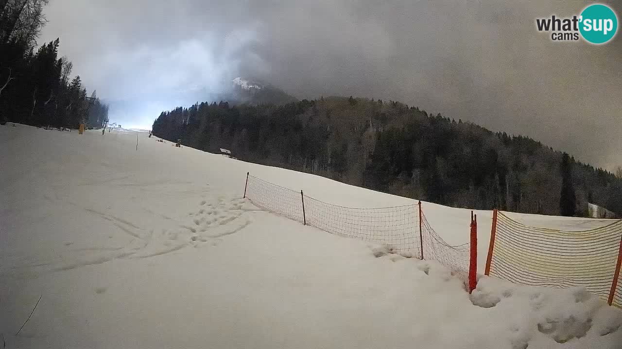 Kranjska Gora SKIJANJE | Brsnina