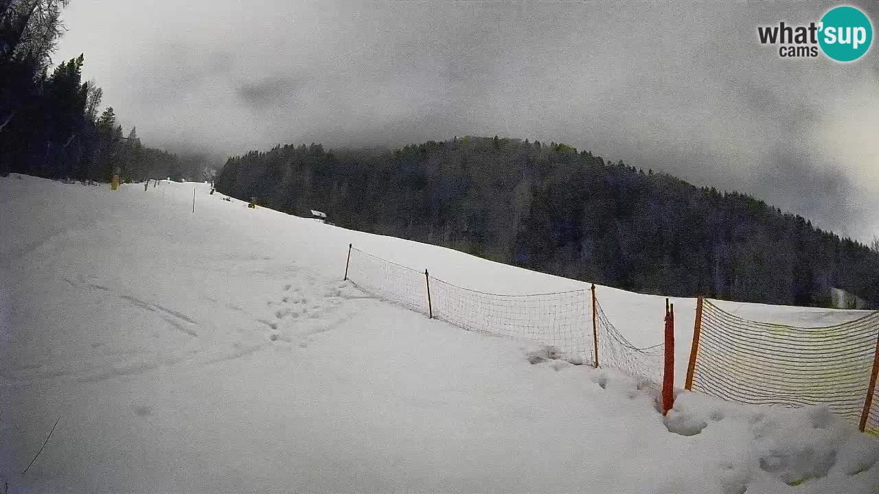 Esquí Kranjska Gora | Brsnina