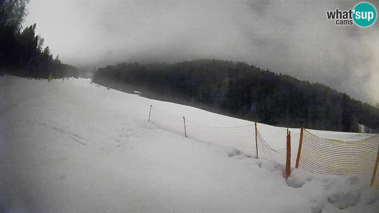 Kranjska Gora Station de ski | Brsnina