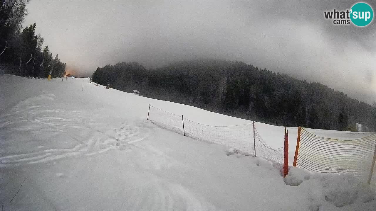 RTC Skigebiet Kranjska Gora | Brsnina