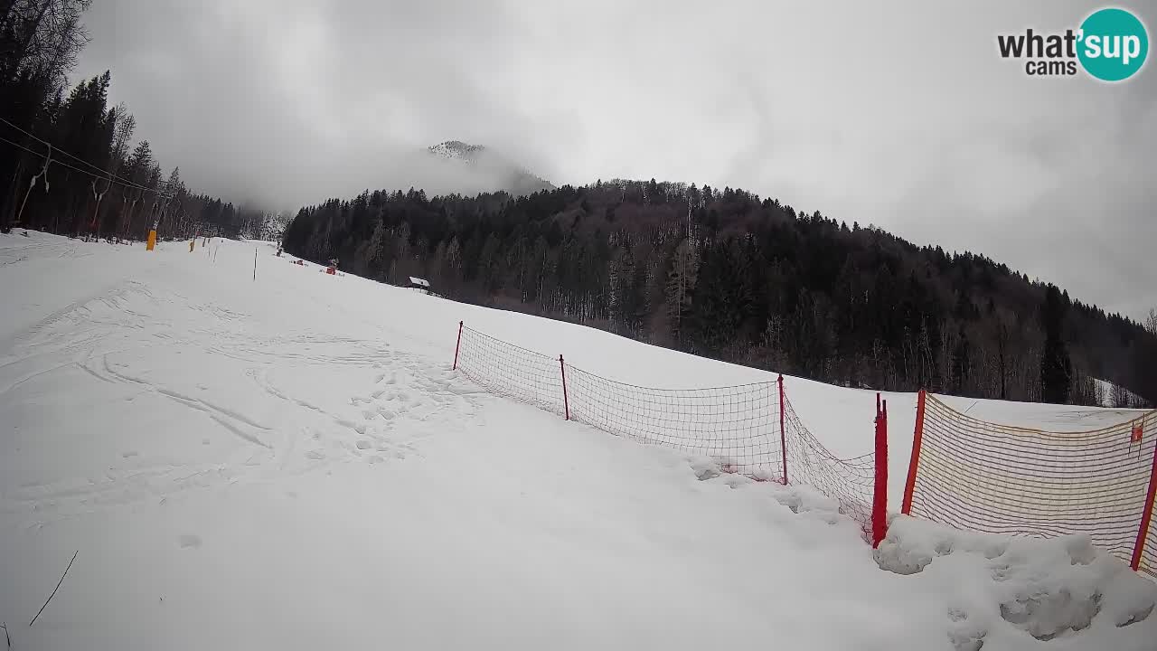 Ski Kranjska Gora | Brsnina