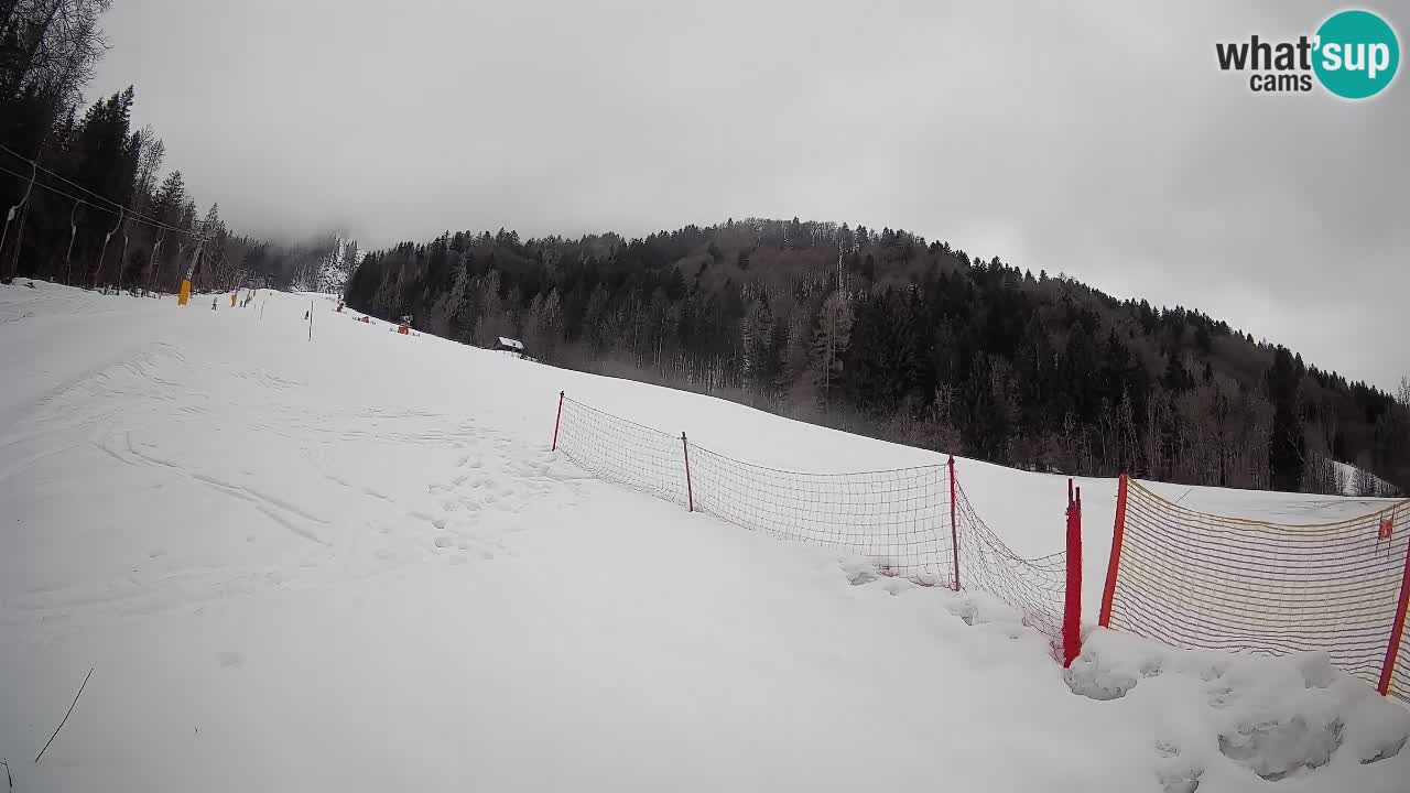 Comprensorio sciistico Kranjska Gora | Brsnina