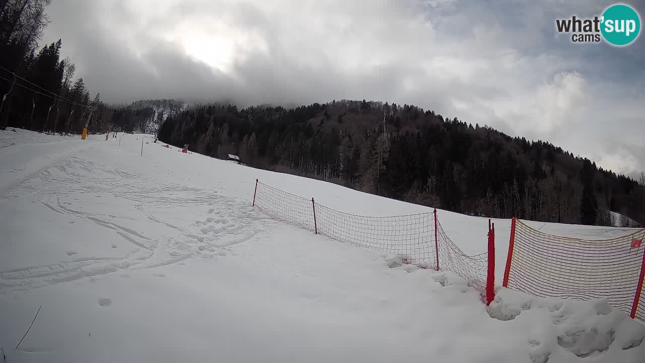 Esquí Kranjska Gora | Brsnina