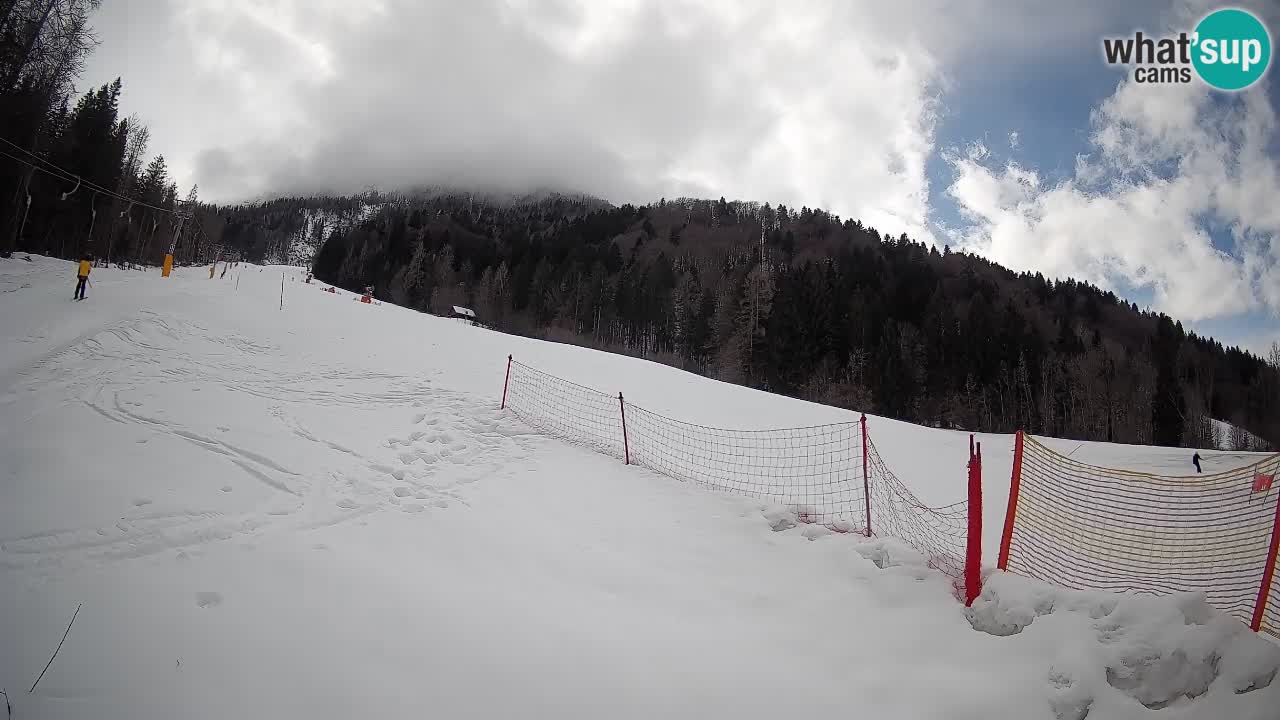 Kranjska Gora Station de ski | Brsnina