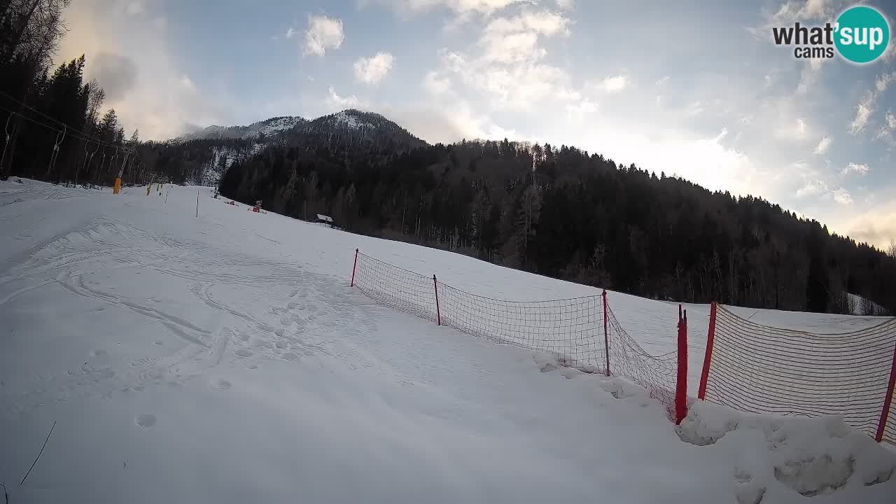 Kranjska Gora Station de ski | Brsnina