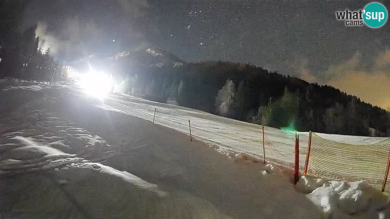 Comprensorio sciistico Kranjska Gora | Brsnina