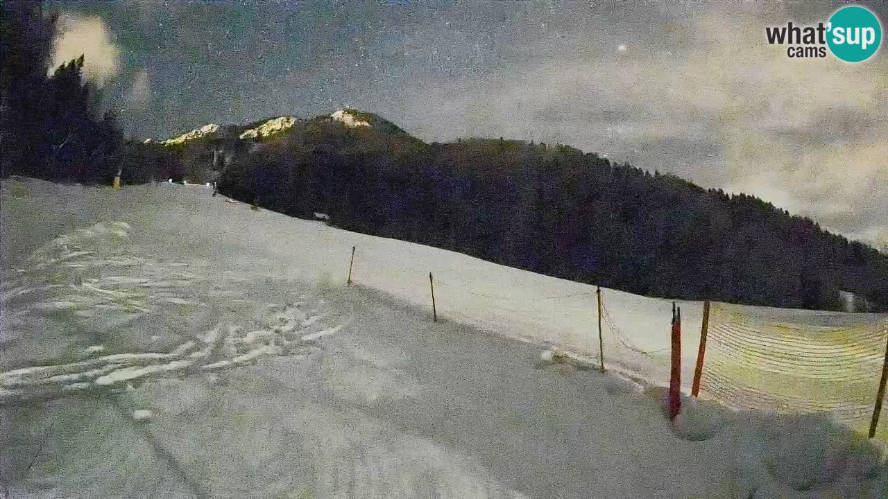 Kranjska Gora Station de ski | Brsnina