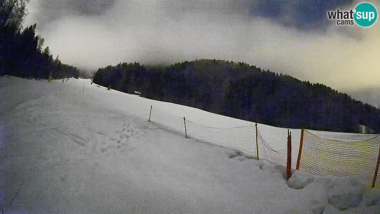 Ski Kranjska Gora | Brsnina