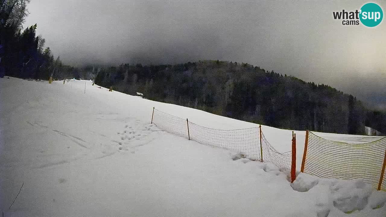 RTC Kranjska Gora | Brsnina