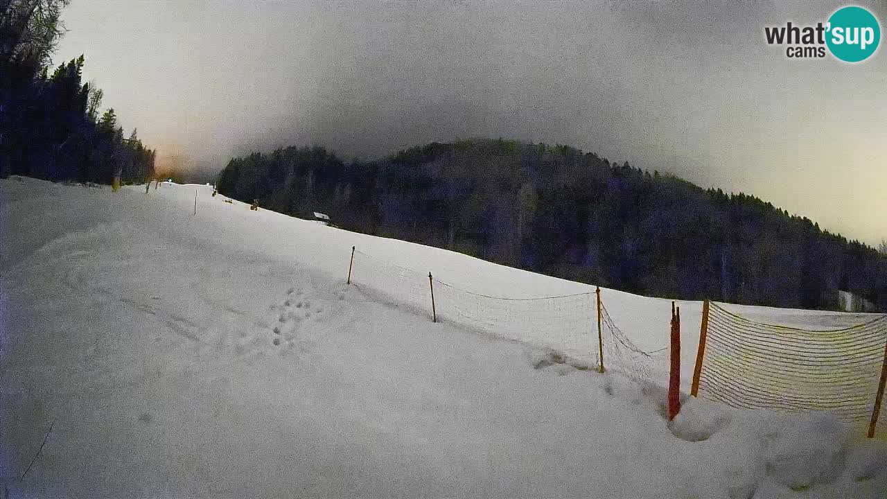 Esquí Kranjska Gora | Brsnina