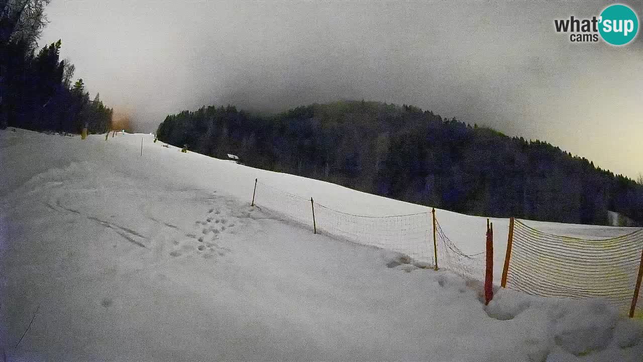 RTC Skigebiet Kranjska Gora | Brsnina