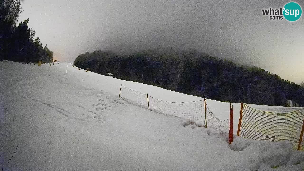 RTC Kranjska Gora | Brsnina