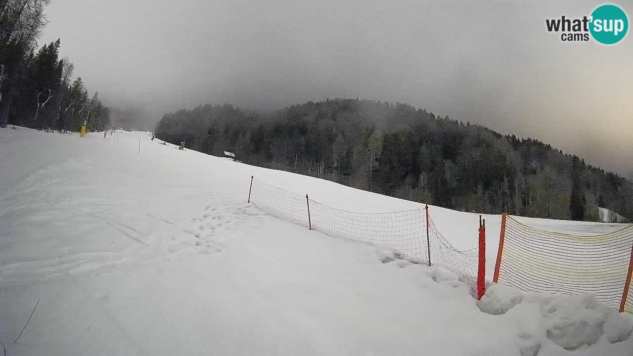 Esquí Kranjska Gora | Brsnina