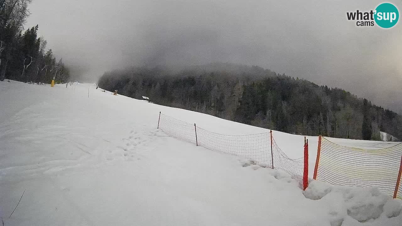 RTC Kranjska Gora | Brsnina