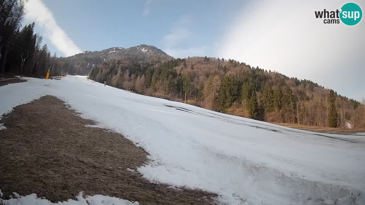 RTC Skigebiet Kranjska Gora | Brsnina