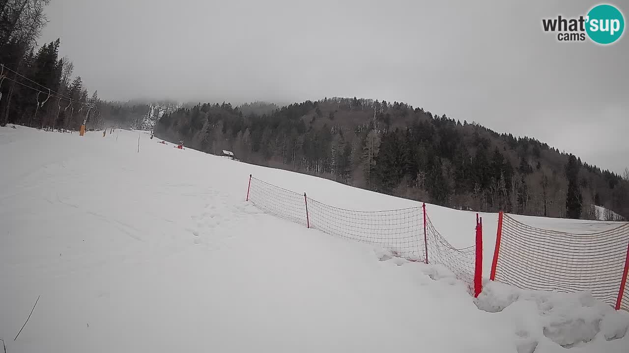 Kranjska Gora SKIJANJE | Brsnina