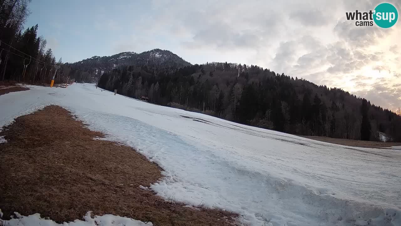 Kranjska Gora Station de ski | Brsnina