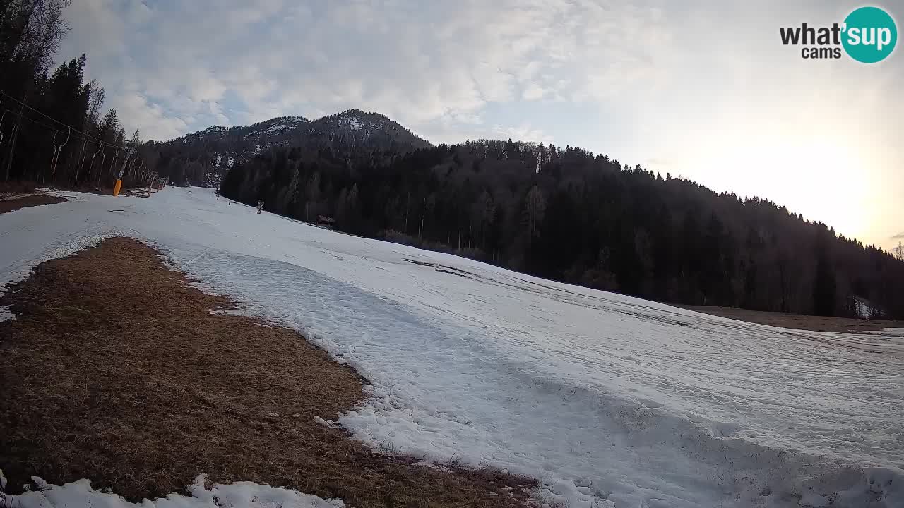 Ski Kranjska Gora | Brsnina