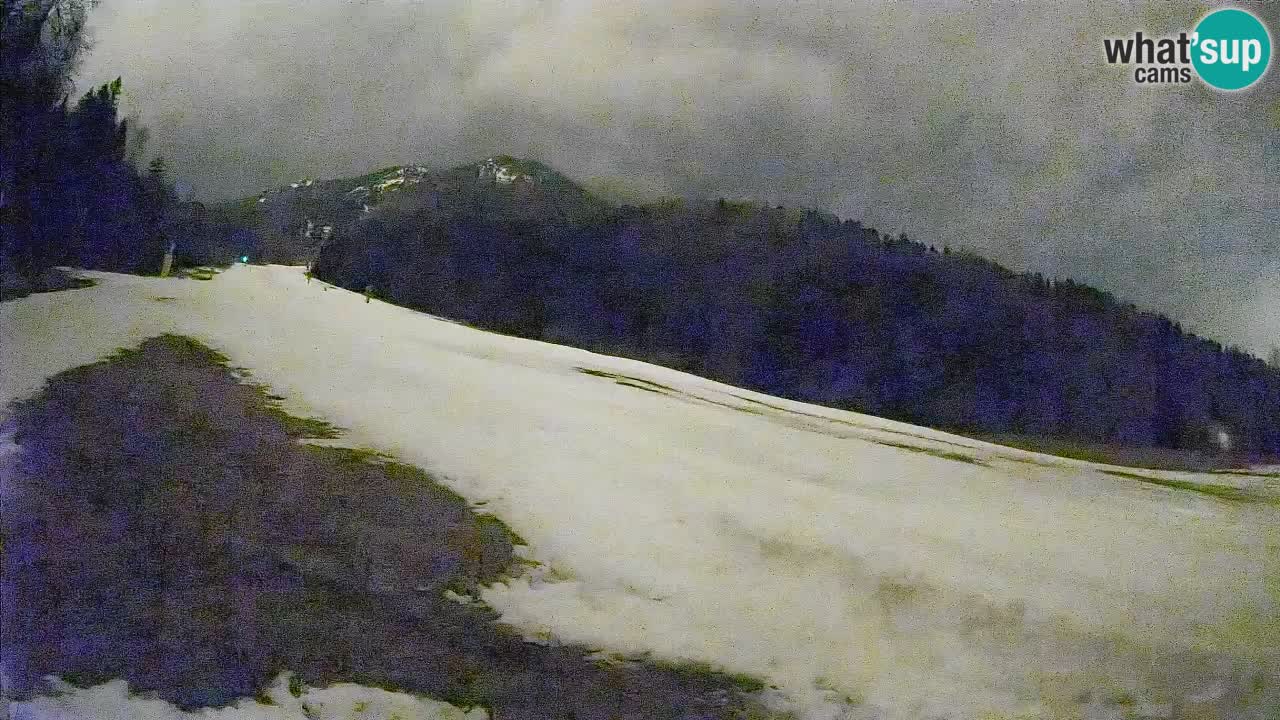 Comprensorio sciistico Kranjska Gora | Brsnina