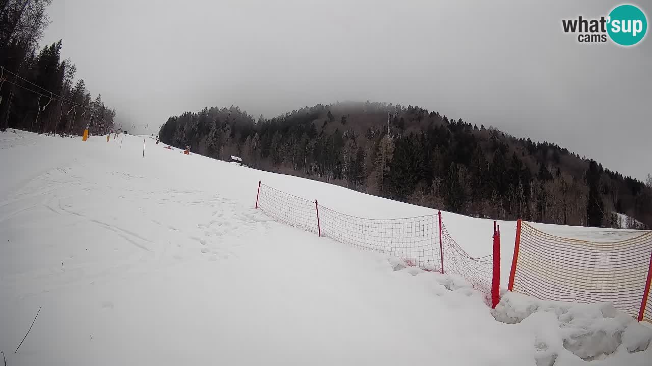 Esquí Kranjska Gora | Brsnina
