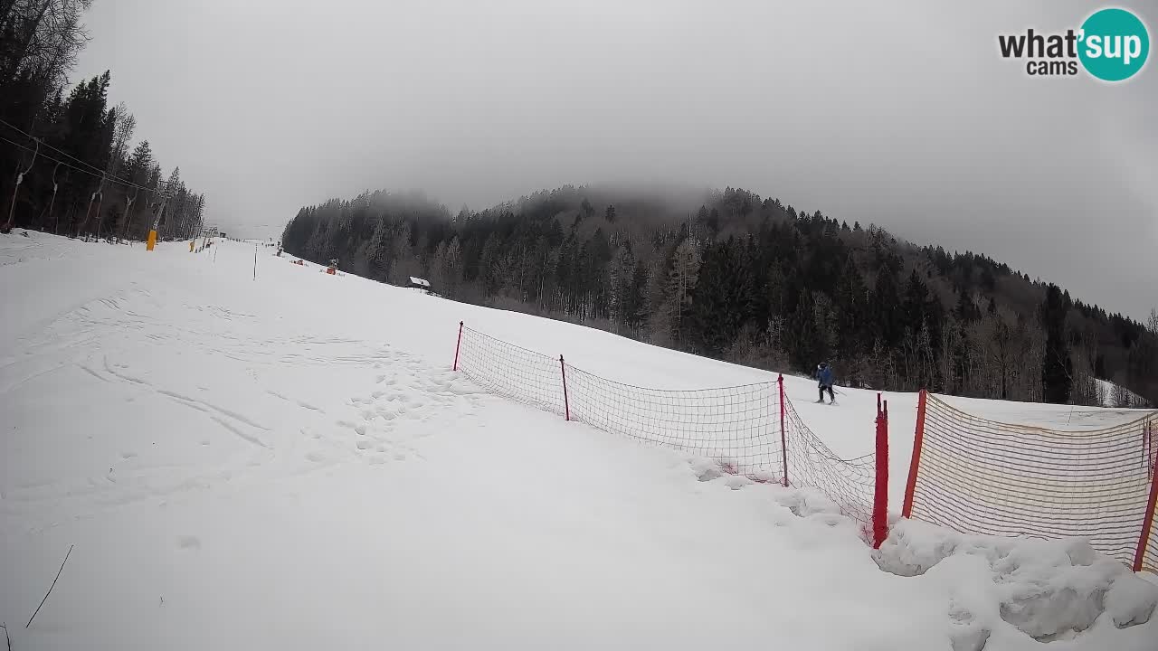 RTC Kranjska Gora | Brsnina