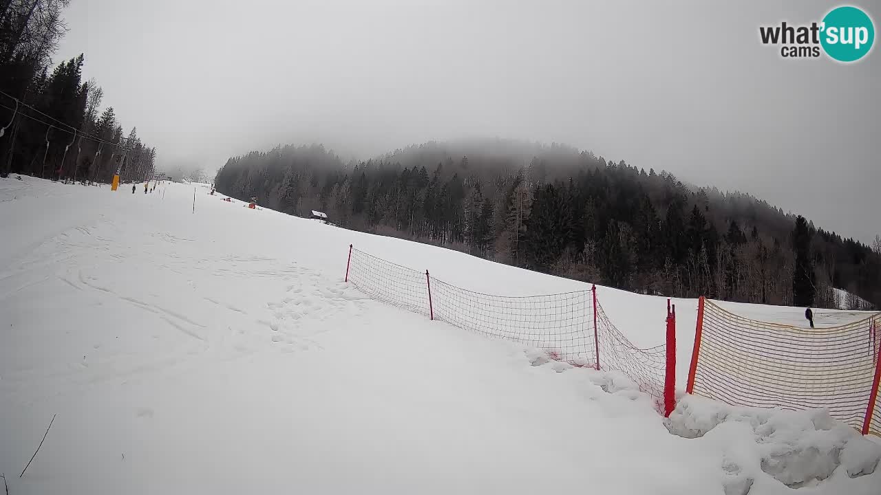 Comprensorio sciistico Kranjska Gora | Brsnina