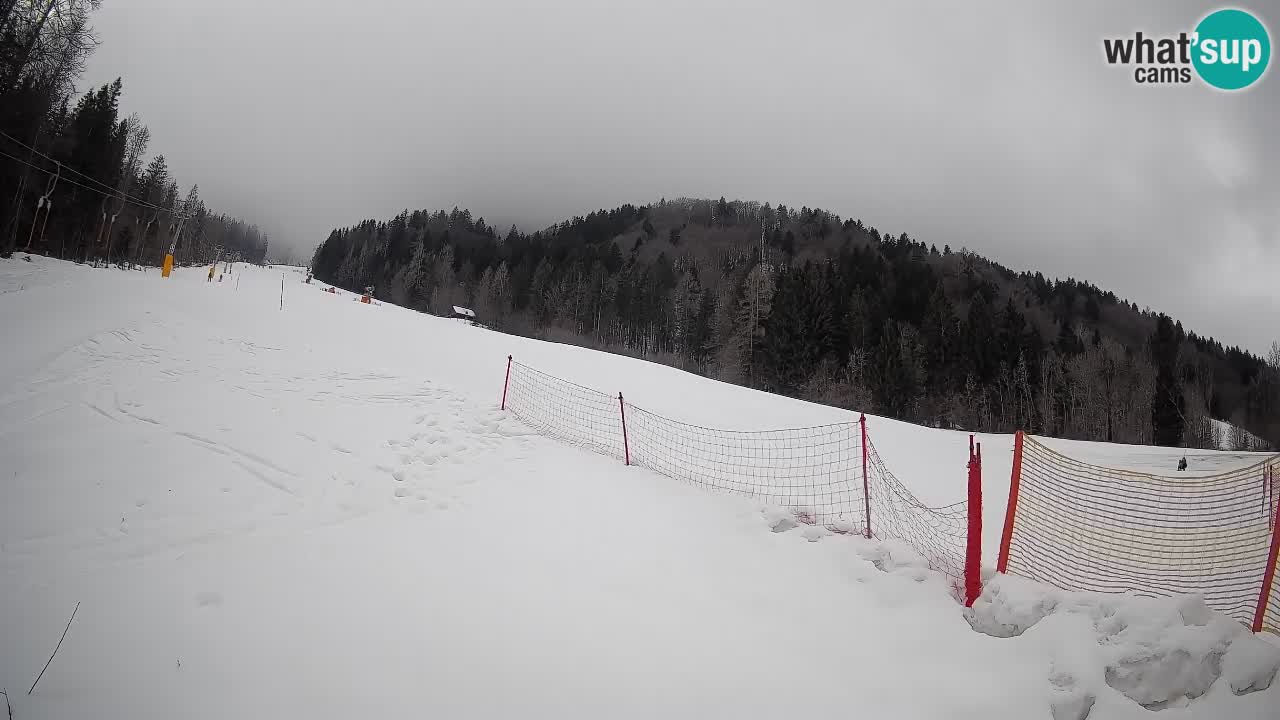 Kranjska Gora Station de ski | Brsnina
