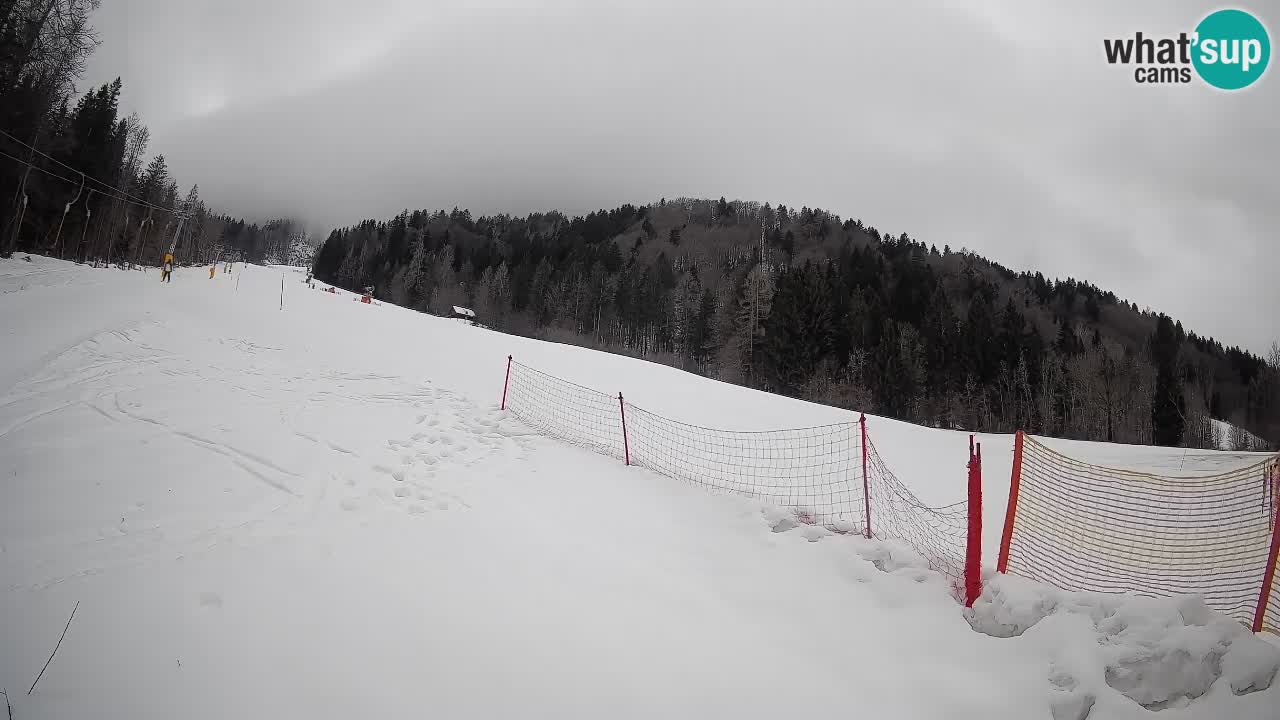 Ski Kranjska Gora | Brsnina