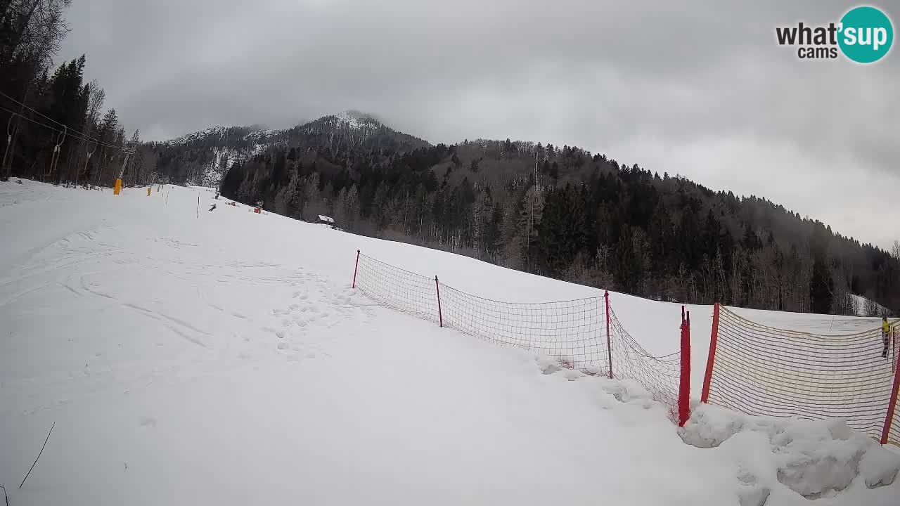 Kranjska Gora SKIJANJE | Brsnina