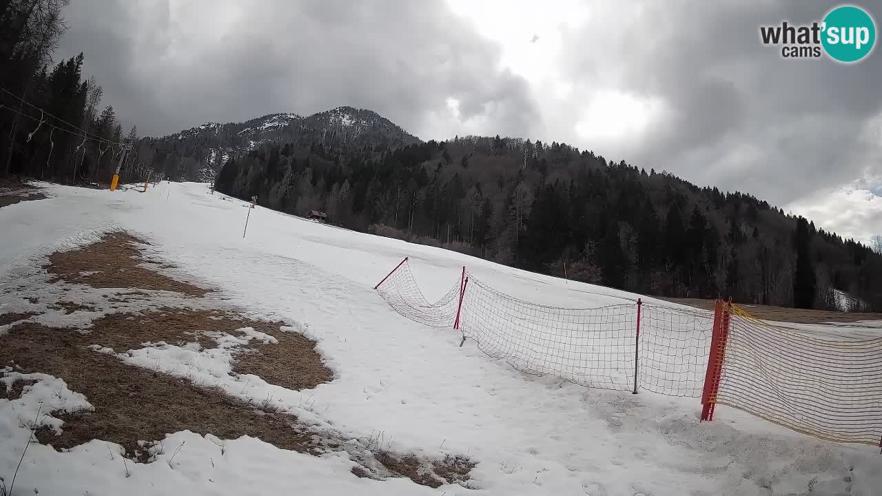 RTC Kranjska Gora | Brsnina