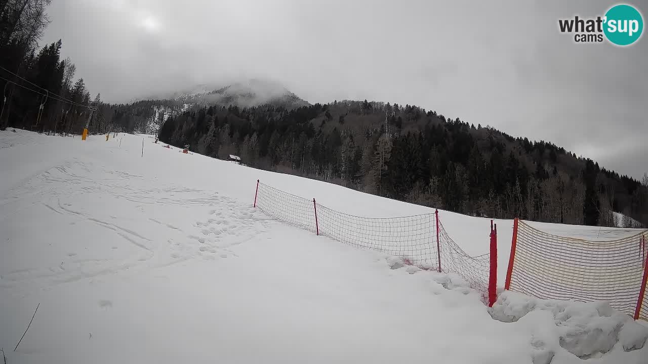 RTC Skigebiet Kranjska Gora | Brsnina