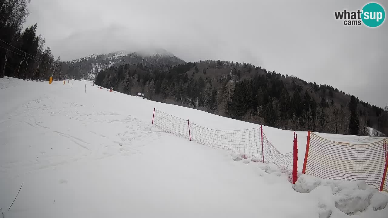 RTC Kranjska Gora | Brsnina