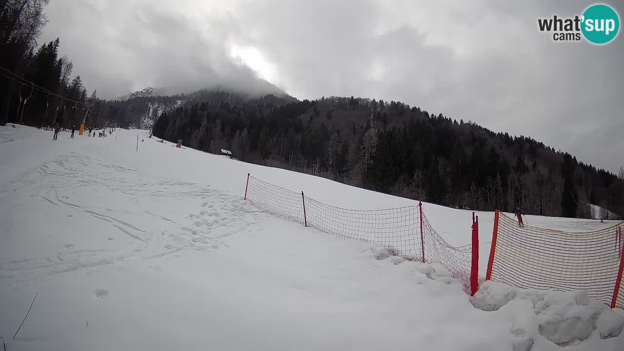 RTC Kranjska Gora | Brsnina
