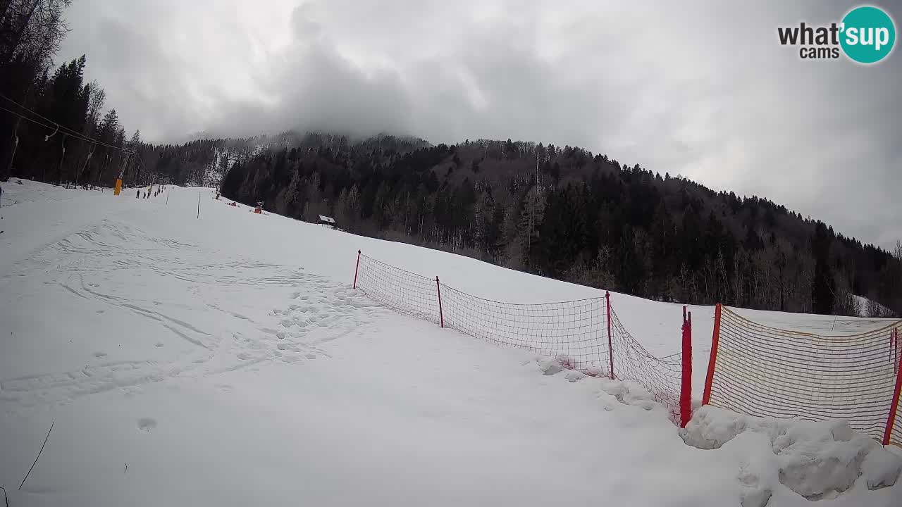 RTC Skigebiet Kranjska Gora | Brsnina