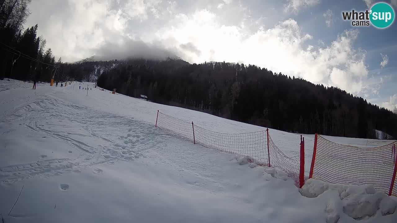 RTC Kranjska Gora | Brsnina