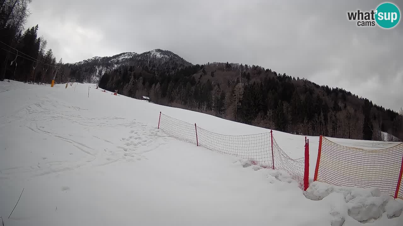 RTC Skigebiet Kranjska Gora | Brsnina