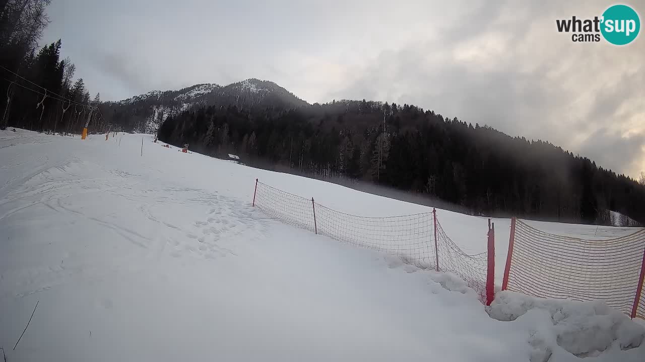 RTC Skigebiet Kranjska Gora | Brsnina