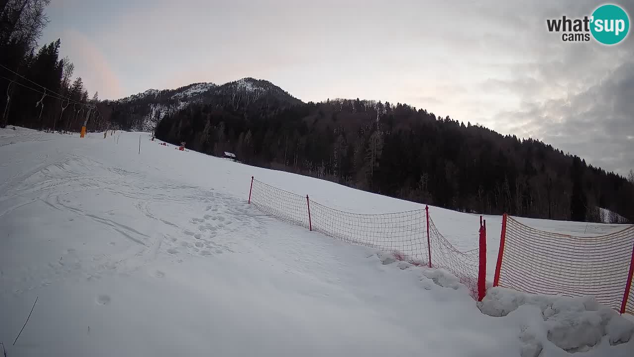 RTC Skigebiet Kranjska Gora | Brsnina