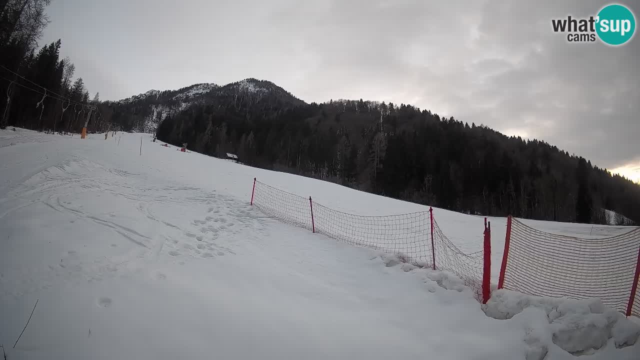 Comprensorio sciistico Kranjska Gora | Brsnina