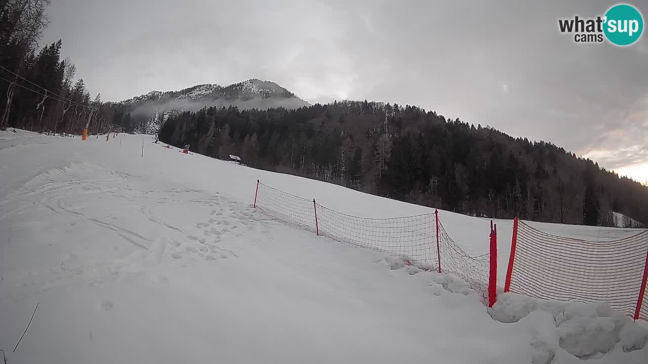 Ski Kranjska Gora | Brsnina