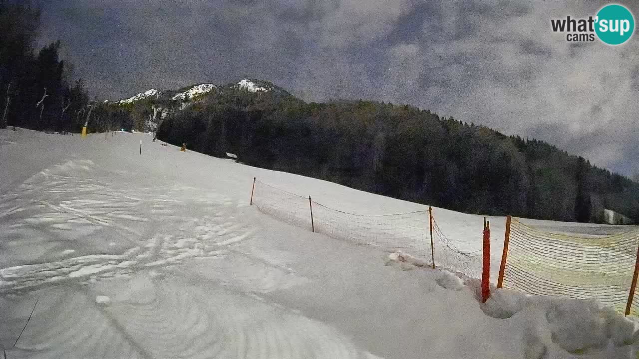 Comprensorio sciistico Kranjska Gora | Brsnina