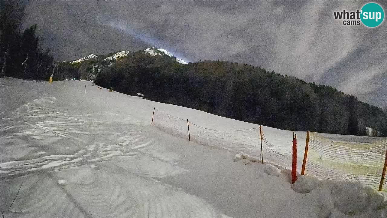 Ski Kranjska Gora | Brsnina