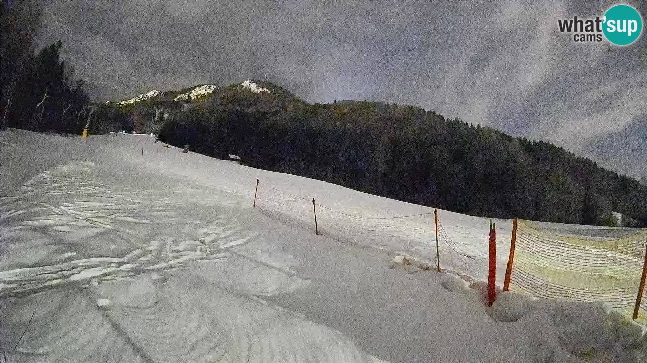 RTC Skigebiet Kranjska Gora | Brsnina