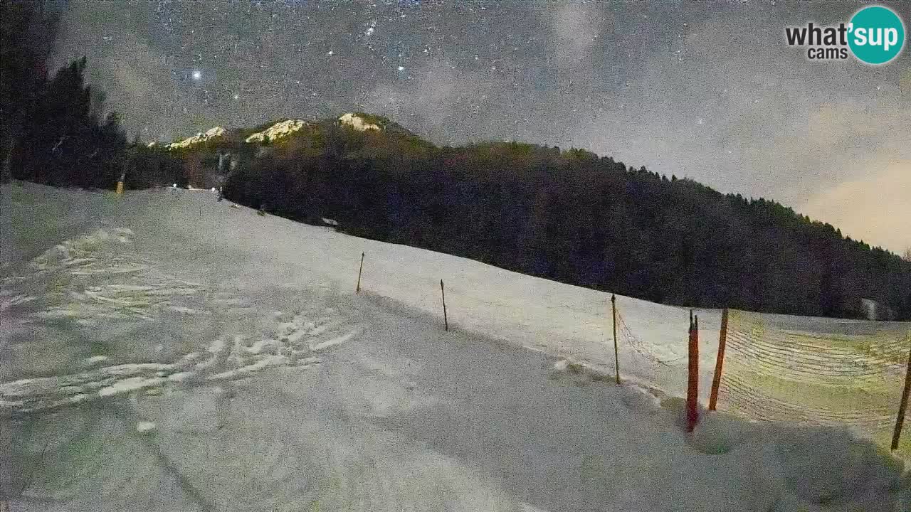 Ski Kranjska Gora | Brsnina
