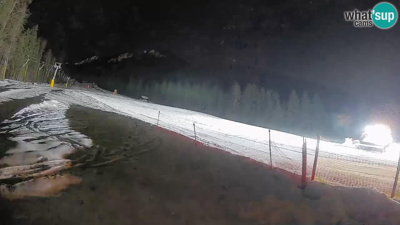 Ski Kranjska Gora | Brsnina