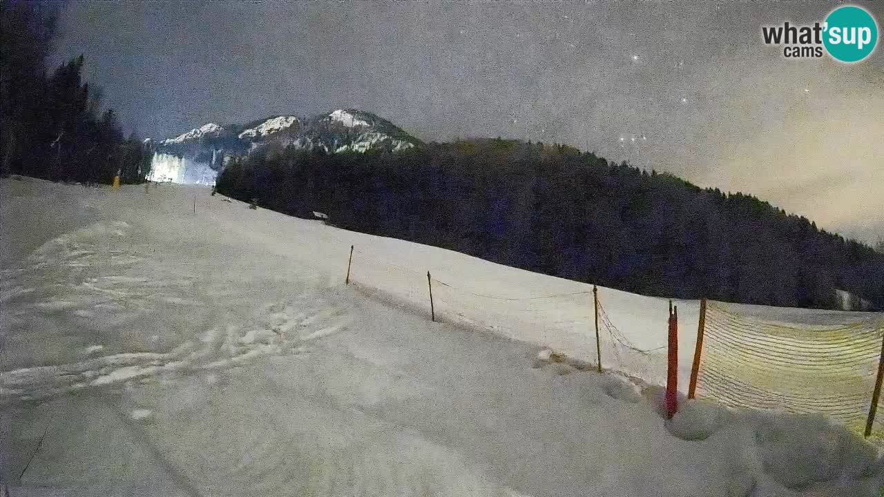 Esquí Kranjska Gora | Brsnina