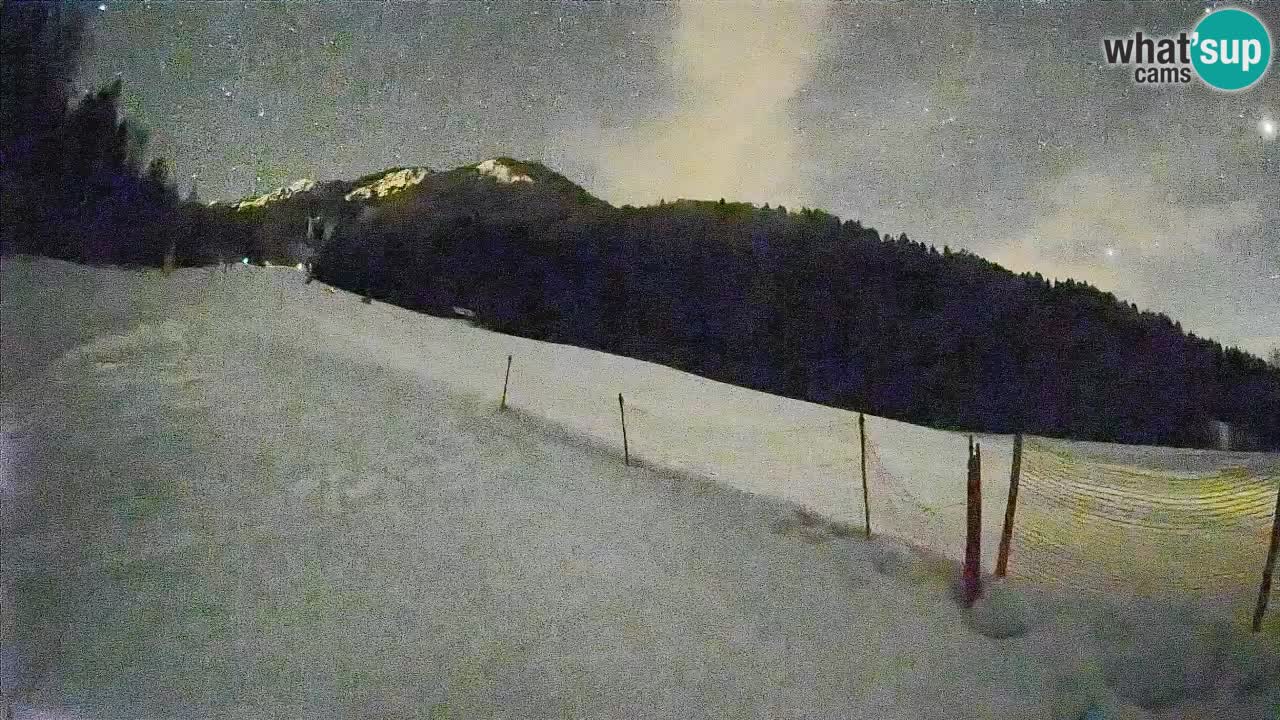 RTC Skigebiet Kranjska Gora | Brsnina